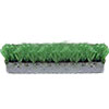Sport Turf (12' Width)
